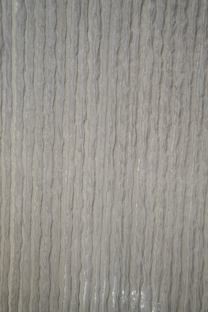 _DSC2565.webp