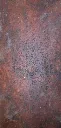 _DSC2529.webp