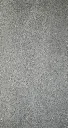 _DSC2520.webp