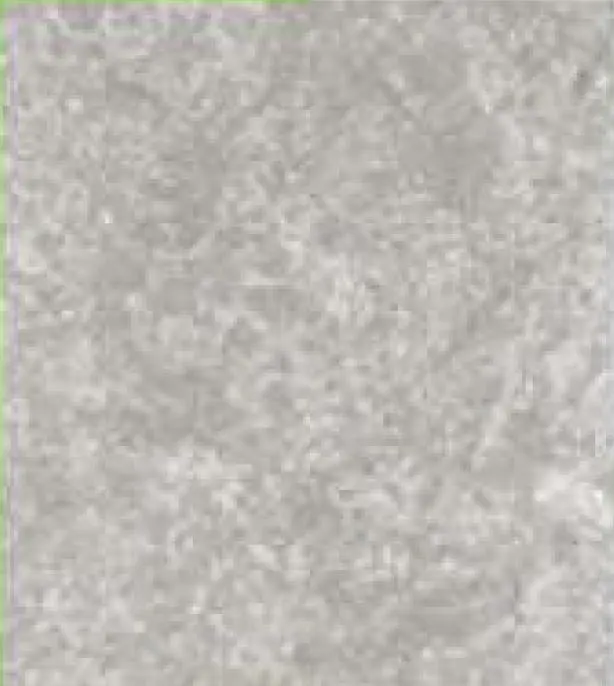 [FG76042] WPC WALL PANEL LINEA TEXTURE GENERAL (A (REPELLO))